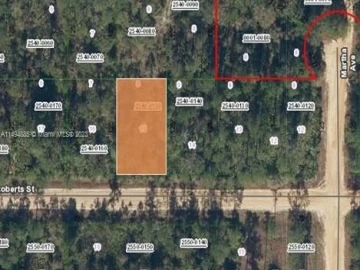 0  ROBERTS ST, Palatka, FL 32148