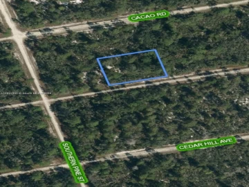 3047  WILLOW AVE, Lake Placid, FL 33852