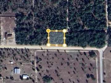 WILLISTON  WILLISTON, Williston, FL 32696