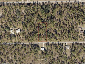 Lot 24 NW Columbine Ave , Other City - In The State Of Florida, FL 34431