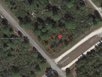 1225  Greenfield St, Lake Placid, FL 33852