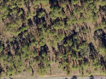 Lot 16 NW Smallwood Rd, Other City - In The State Of Florida, FL 34431