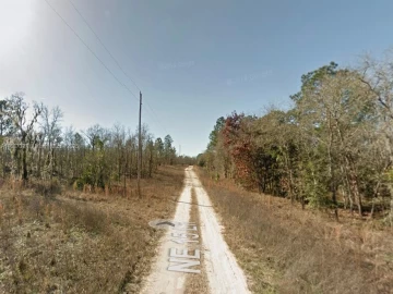 Lot 23 NE 15th Ln, Williston, FL 32696