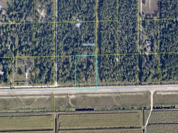 305  Yeehaw Ave, Pioneer, Clewiston, FL 33440